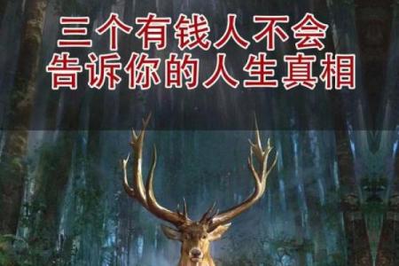 命里带阳运,平步青云人生路的秘密