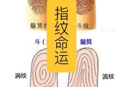 女孩子的十种簸箕命运解析：命运的微妙之舞