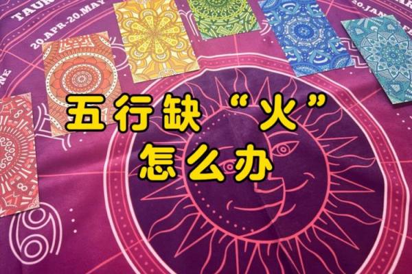 2024年虎年：五行命理的探寻与解读