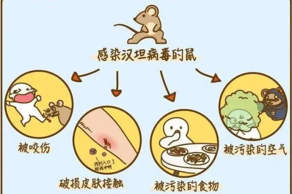 命里缺火，潜藏的健康隐患及应对策略