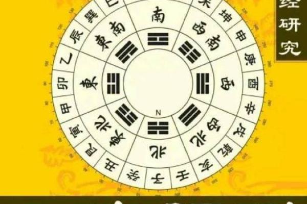男命走比劫运的解析与人生启示：从命理看成功的路径