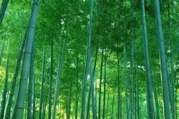 解密命宫有双门入命的玄秘与人生启示