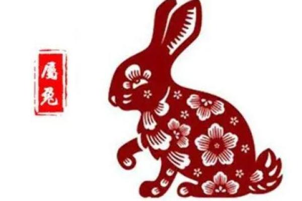 分析六月出生属兔者的命运与性格特征