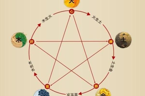 探索命理与牙齿的五行关系：如何通过五行理解牙齿健康与美丽