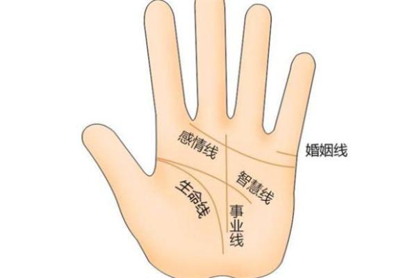 探秘离婚命格：命理学视角下的婚姻关系解析