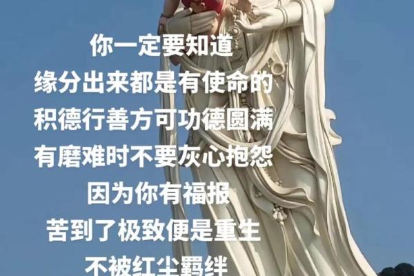命里有天必有人，探寻人生背后的缘分与机遇