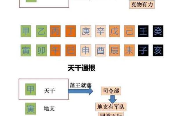 龙蛇双全，命理解密：探寻八字的秘密与相生相克