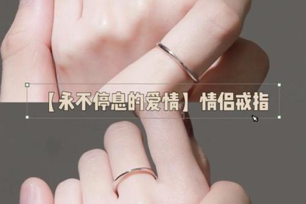 没有比劫的女命：她们的生活、事业和爱情之路解析