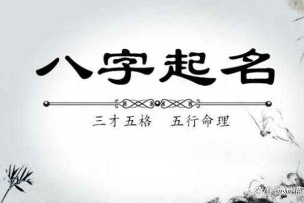 姓名三字五行命理解析，找出命运的秘密！