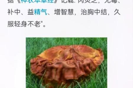 人们都在问:命犯太岁到底是什么意思?