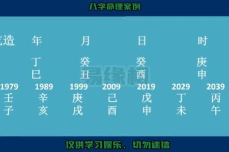 女命比肩劫财多，男命配对的智慧与秘籍