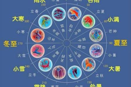 探索生肖命格:了解每个生肖背后的神秘力量与命运解读