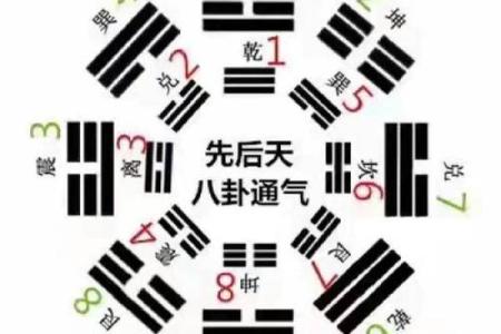 女性八字命理中的六害解读及其对人生的影响