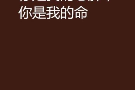 你凭什么要我的命?探讨人生中的选择与责任