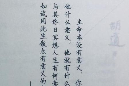 当生命失去意义，财富又有何用？深度思考人生的价值与追求