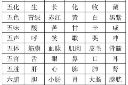 探索命理与牙齿的五行关系:如何通过五行理解牙齿健康与美丽