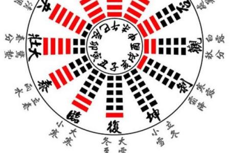 农历1月12日出生的人命运与性格解析