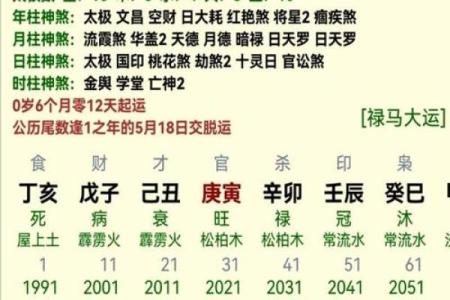 探索正官男命：如何通过五行补救提升人生运势