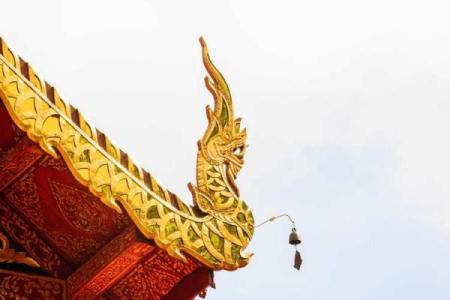 女人童子命的表现与解读：揭开神秘面纱的一扇窗