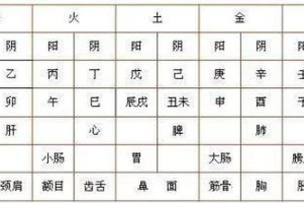 命局有根：揭示生肖背后的深层意义与命运变化