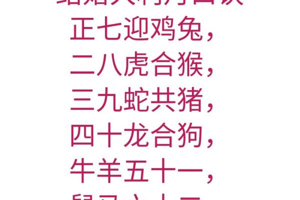 十二月出生的老鼠：命运与性格的深度解析