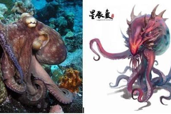 刘欣冉的命运之谜：星辰之下的人生轨迹探秘
