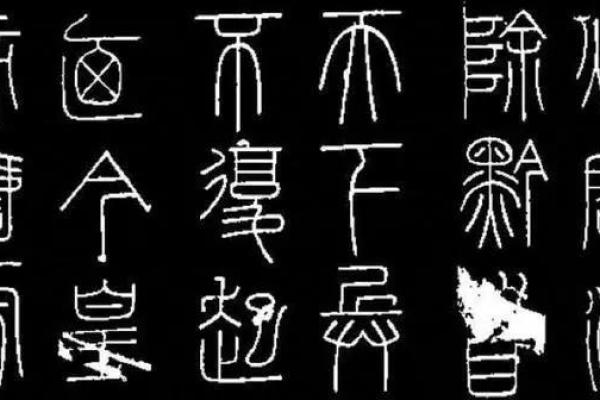 女命极贵之命：揭示古代女性命理中的无上荣耀