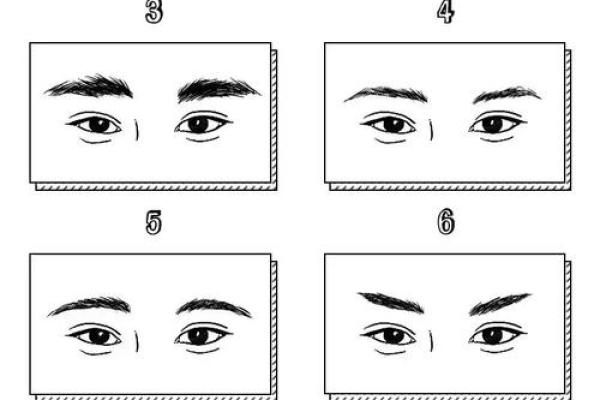 女生眉毛的秘密：哪些眉型预示着富贵命？