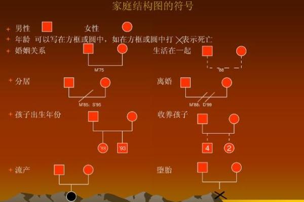 命理中带金水的独特含义与影响探究