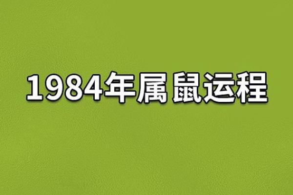 1984年出生的老人属于什么命？揭开命运的秘密！