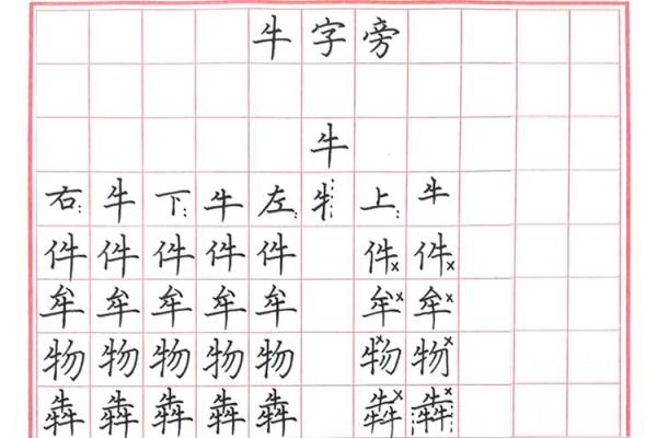 探寻“命”字的秘密：偏旁部首与人生的哲学思考