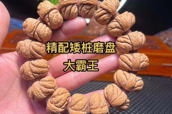 李居明的木命佛珠选择：修身养性与运势提升的完美搭配