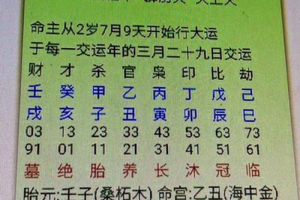 农历2014年9月出生的孩子，命理特点与未来发展探讨