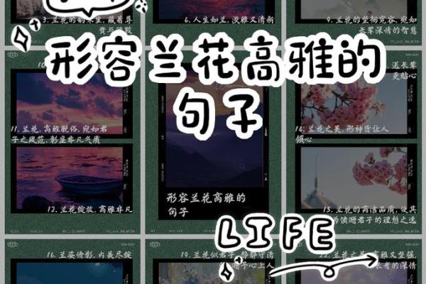 命里二朵花：探索命理中的美好象征与人生智慧