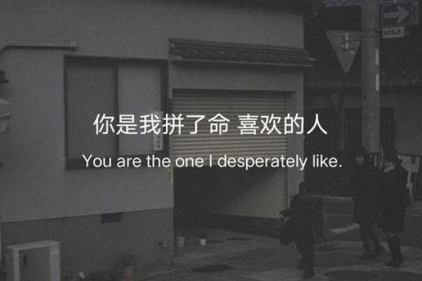 拼了命的翻盘：如何在逆境中实现突破与成功