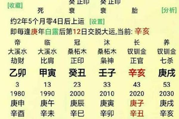 命理八字解析：探寻你命运中的秘密与机遇