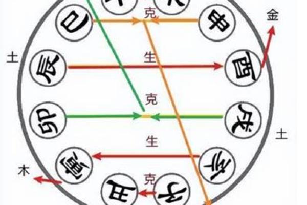 牛是土命，狗是什么命？探讨五行命理背后的奥秘与启示