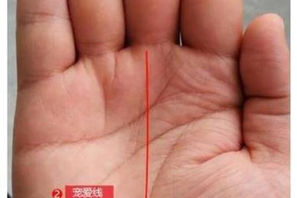 女右手大拇指的秘密：它代表了怎样的命运与个性？