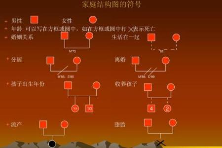 命理中带金水的独特含义与影响探究