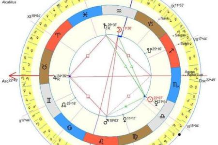 马云的生肖和命格解析：深度解读成功背后的秘密