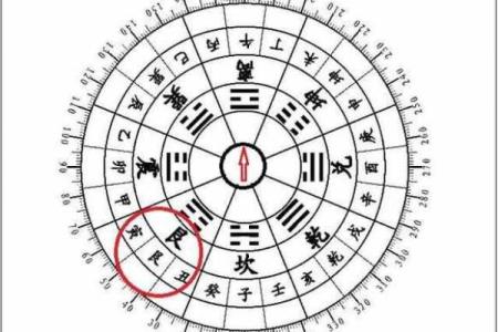 探究流尽命归西的生肖奥秘与命理解析