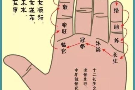 命理探究：揭秘命带官鬼的深层意义与影响