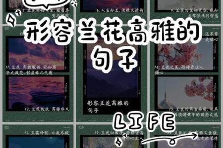 命里二朵花:探索命理中的美好象征与人生智慧