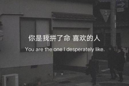 拼了命的翻盘：如何在逆境中实现突破与成功