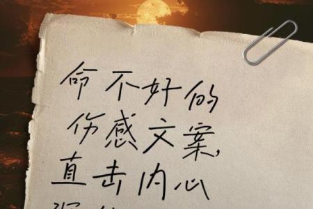 能被救的人是什么命:命运与选择的交织之旅
