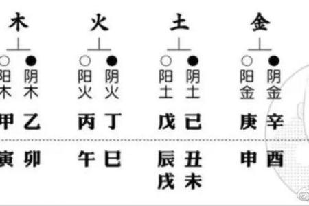 探秘牛年出生者的命理：五行属性与人生轨迹