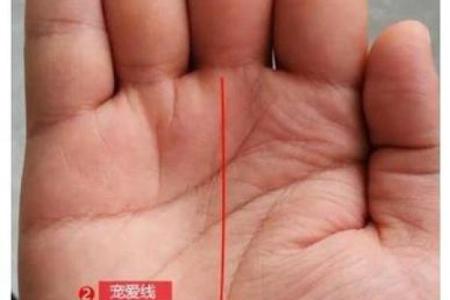 女右手大拇指的秘密：它代表了怎样的命运与个性？