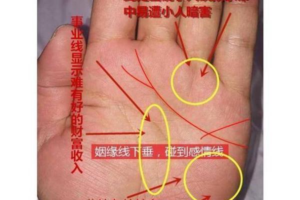 如何解析女命八字：受老师喜爱的深层秘密