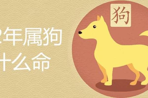 揭秘女命4两7：一生的命理与运势