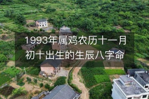 男属鸡五月初三的命运解析：生辰八字与性格特征揭示